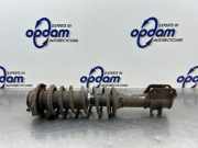 Federbein links vorne Suzuki Alto VI FF 41602M79G00