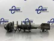 Federbein links vorne Lancia Ypsilon 843 50711004