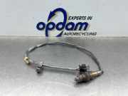 Lambdasonde Ford Focus IV Turnier HP 025803007R