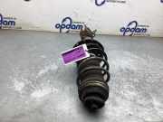 Federbein links vorne Fiat Punto Evo 199 51796542
