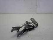 Motorhaubenscharnier Renault Clio III BR0/1, CR0/1