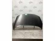 Motorhaube Peugeot 207 CC XXXXX