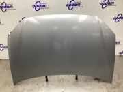 Motorhaube VW Polo IV 9N, 9A 6Q0823031J