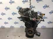 Motor ohne Anbauteile (Benzin) Hyundai Getz TB 2110D