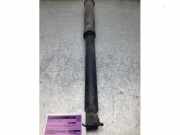 Stoßdämpfer links hinten Toyota Aygo B4 485300H070