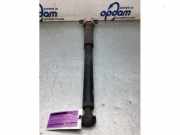 Stoßdämpfer links hinten Mercedes-Benz A-Klasse W176 A2043260598