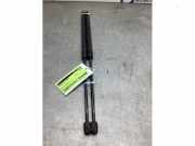 Gasdruckfeder Ford Fiesta VI CB1, CCN 8A61A406A10AC