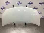 Motorhaube Renault Twingo II CN0 651003355R