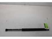 Heckklappendämpfer BMW X5 E53