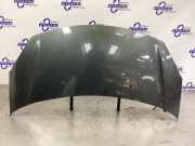 Motorhaube Citroen C3 II SC 7901R1