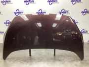 Motorhaube Ford Ka RU8 1542417