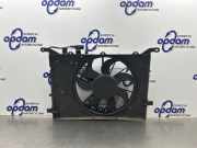 Elektrolüfter Volvo S60 I 384 30680512