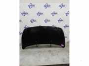 Motorhaube Ford Transit Connect V408 Kasten