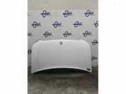 Motorhaube Mercedes-Benz Vito/Mixto Kasten W639 A639750050228