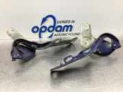 Motorhaubenscharnier Renault Clio III BR0/1, CR0/1 307816H