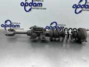 Federbein rechts vorne BMW 5er F10 105413