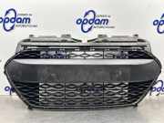 Lüftungsgitter für Stoßfänger Hyundai i10 IA 86569B9000