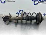 Federbein rechts vorne Renault Modus - Grand Modus P 8200127279