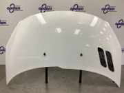 Motorhaube Peugeot 206+ T3E 7901R5