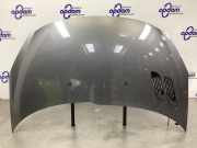 Motorhaube Peugeot 206+ T3E 7901R5