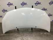 Motorhaube Renault Twingo II CN0 651003355R