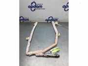 Airbag Dach links Citroen C4 II B7 9801890780