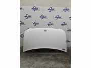 Motorhaube Mercedes-Benz Vito/Mixto Kasten W639 A639750050228