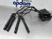 Zündspule Renault Clio III BR0/1, CR0/1 77040001