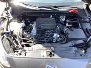 Motor ohne Anbauteile (Benzin) Ford Focus IV HN 2463330