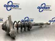 Federbein links vorne Audi A6 4F, C6 4F0413031AS