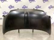 Motorhaube Fiat 500 312 52009424