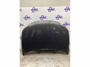 Motorhaube VW Eos 1F