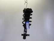 Federbein links vorne Rover 25 RF