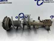 Federbein links vorne Renault Modus - Grand Modus P 8200127279