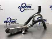 Kühler für Abgasrückführung Kia Picanto 2 TA 2841004900