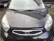 Motorhaube Kia Picanto 2 TA 664001Y010