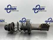 Federbein links vorne Renault Twingo II CN0 8200367895