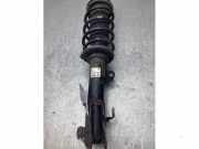 Federbein rechts vorne Suzuki Ignis III MF 4160162R30