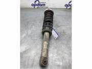 Federbein rechts hinten BMW 5er E60 10541315