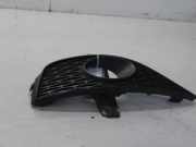 Lüftungsgitter für Stoßfänger Seat Ibiza IV SportCoupe 6J 6J0853666A