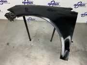 Kotflügel links vorne VW Polo IV 9N, 9A 6Q0821105E