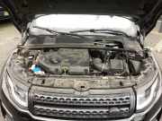 Motor ohne Anbauteile (Diesel) Land Rover Range Rover Evoque I L538