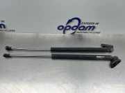 Heckklappendämpfer Mazda 5 CR1 C23563620C