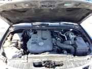 Motor ohne Anbauteile (Diesel) Nissan Navara D40