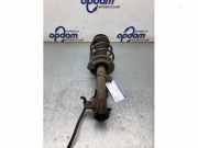 Federbein links vorne Suzuki Swift IV FZ, NZ 4160268L00