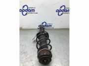 Federbein rechts vorne Suzuki Swift IV FZ, NZ 4160168L00