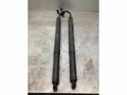 Gasdruckfeder BMW X2 F39 17893910