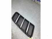 Kühlergrill Mercedes-Benz GLE Coupe C292 A1668800205