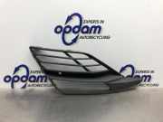 Lüftungsgitter für Stoßfänger Seat Leon 5F 14884