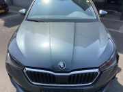 Motorhaube Skoda Scala NW1 657823031A